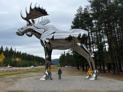 Storelgen (The Big Elk)