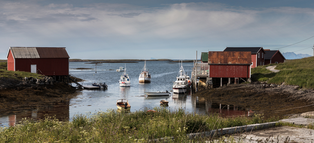 Fishing boats at Vega (Photo:  Per Harald Olsen/NTNU. Licens: CC BY SA 3.0 