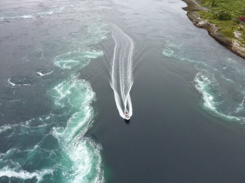 Saltstraumen